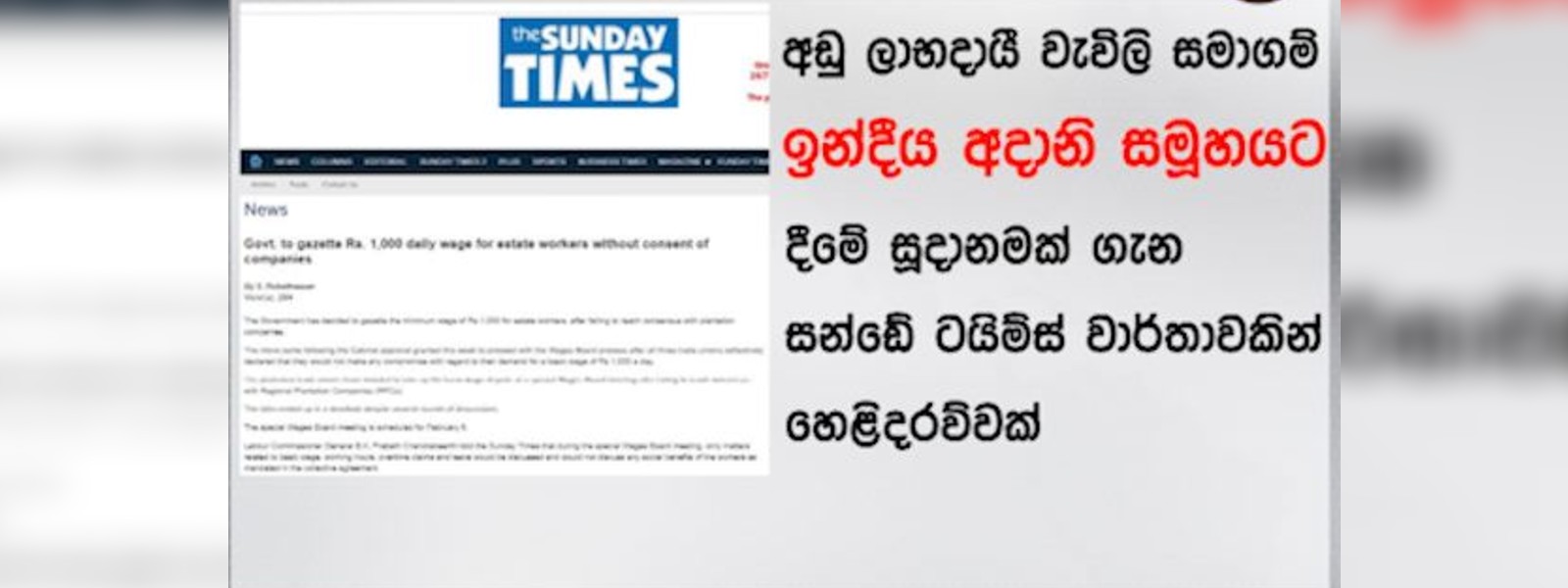 ලංකාවේ වතු අදානි අත්පත් කර ගනීවිද?