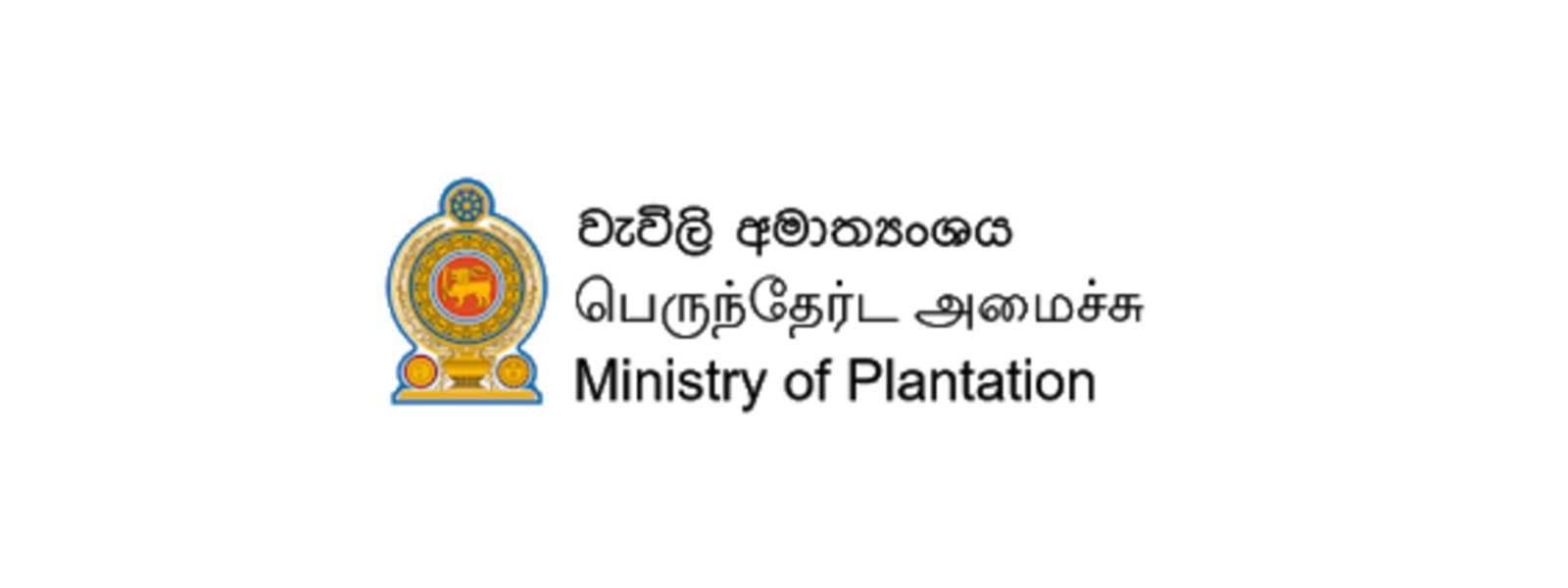 වගා නොකළ ඉඩම්වල වගා කිරීමට සැලසුම්