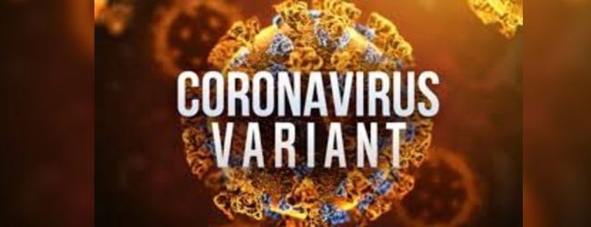 නව Covid වෛරස් ප්‍රභේදය මෙරටිනුත්