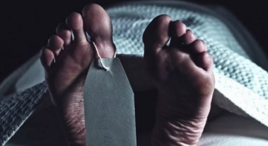 පවුල් ආරවුලක් නිසා දෙදරු පියෙකු මරුට
