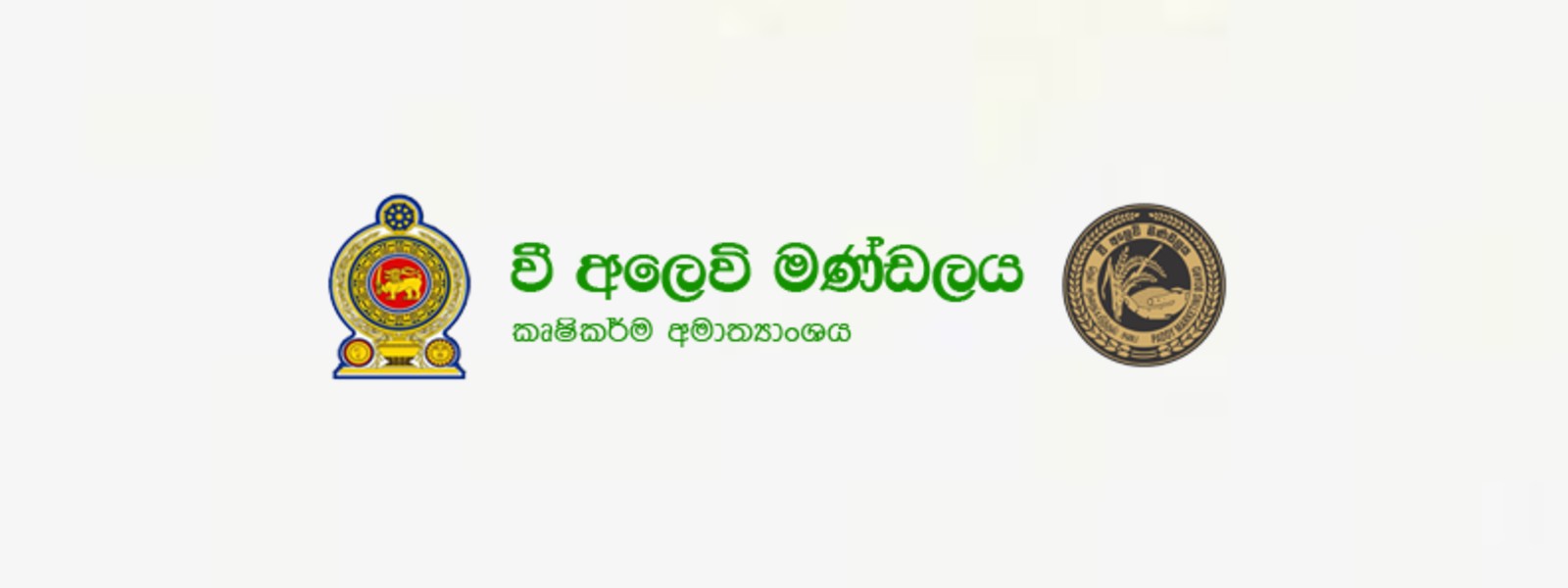 මහ කන්නයේ වී මෙට්‍රික් ටොන් 13,800 ක් මිලදී ගනී..
