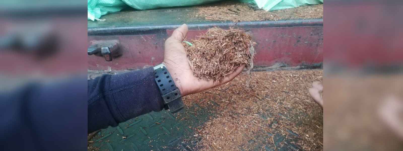 කසළ තේ කිලෝ 10,000ක් යක්කලදී පොලිස් භාරයට
