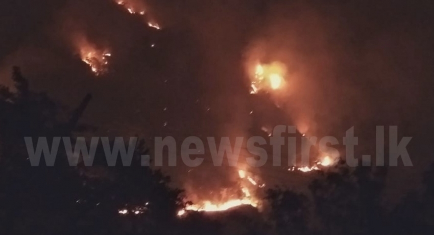රාවණා ඇල්ල රක්ෂිතයේ ගින්නක්