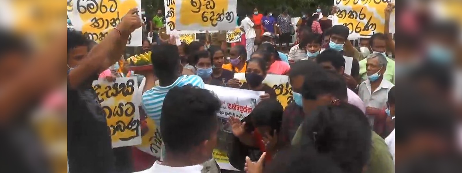 කබානා 300ක් හදන්න කැළෑව කපලා..