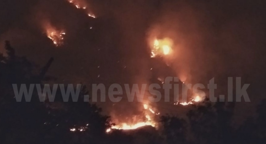 ඇල්ල රක්ෂිතයේ ගින්න නිවන්න හෙලිකොප්ටර් යානයක් යොදවයි