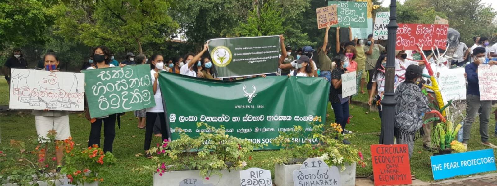 පරිසර විනාශවල⁣ට ⁣එරෙහිව නිහඬ විරෝධතාවක් 