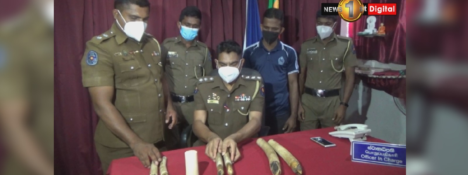 ඇත් දළ ජාවාරමක් වටලයි 