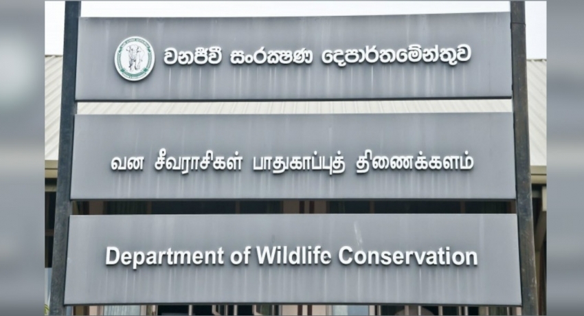 වනජීවි දෙපාර්තමේන්තුවේ සංචාරක නිවාස, කඳවුරු බිම් හෙට සිට වැසේ