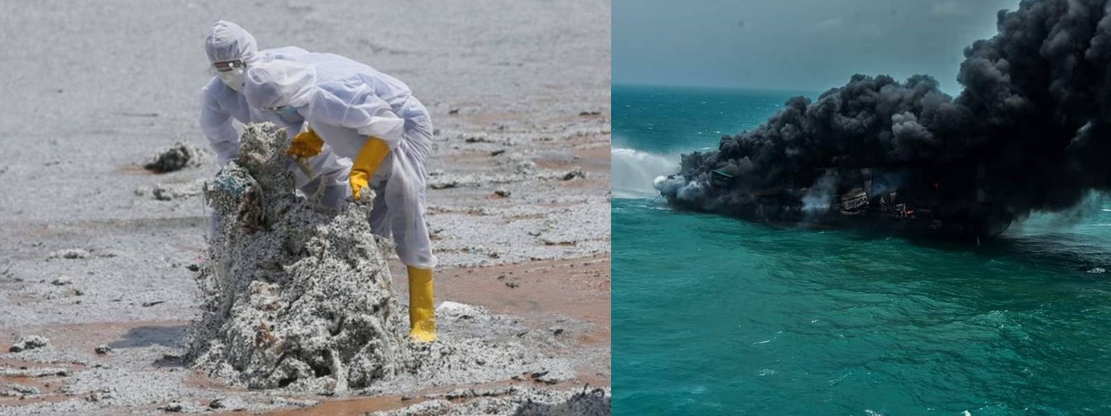 මධ්‍යම පරිසර අධිකාරියෙන්  දැනුම්දීමක් 