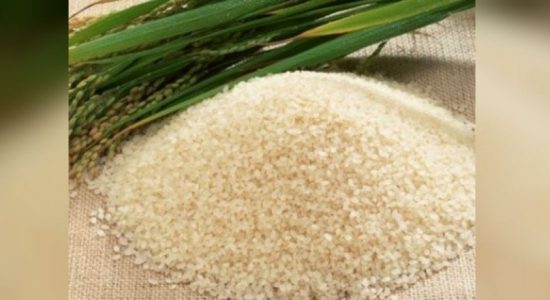 පොන්නි සම්බා මෙට්‍රික් ටොන් ලක්ෂයක් ගේන්න පියවර