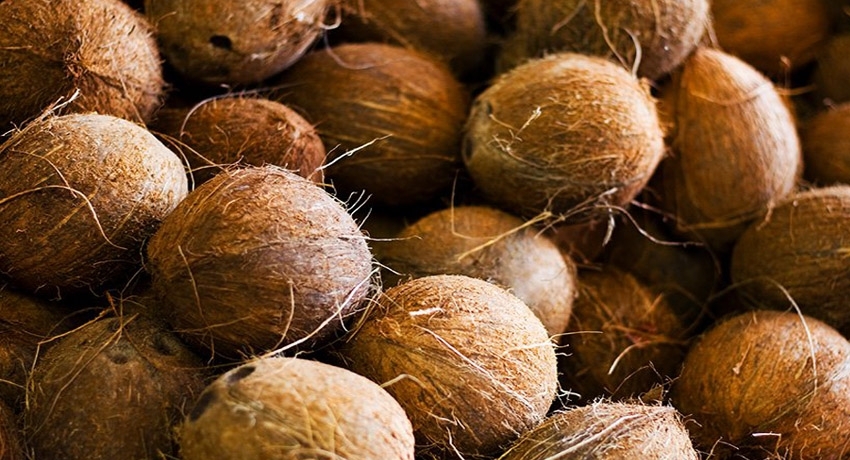 පොල් ගෙඩියක උපරිම සිල්ලර මිල ඉවතට