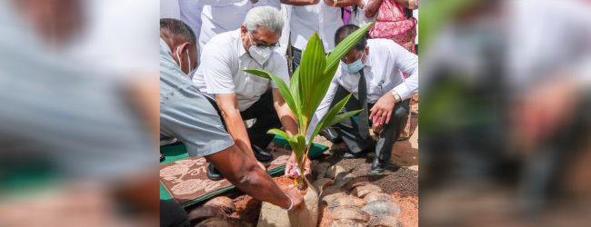 “දොරින් දොරට කප්රුක” ජාතික වැඩසටහන ඇරඹේ