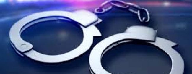 පුරාවස්තු කැනීම් කළ 6ක් අත්අඩංගුවට