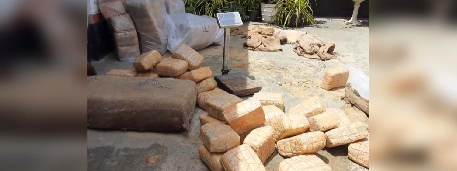කෝටි 05ක කේරළ ගංජා‌ වටලයි 