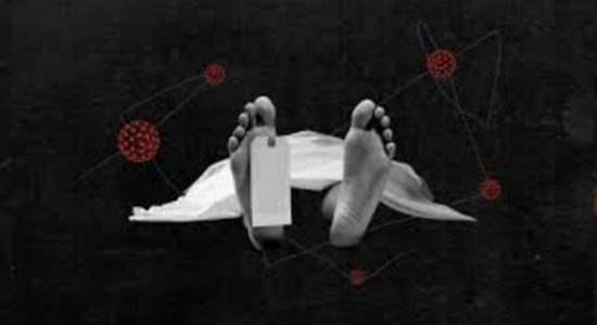 තවත් කොරෝනා මරණ 31ක්..