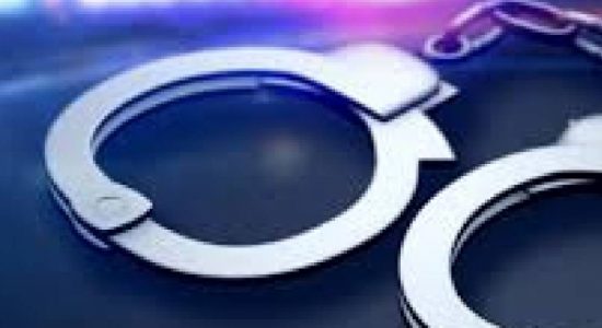 පුරාවස්තු කැනීම් කළ 6ක් අත්අඩංගුවට
