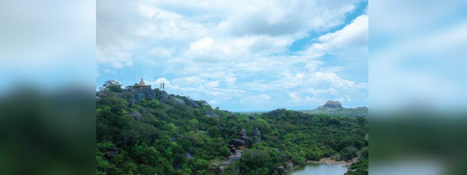 යාල වනාන්තරයෙන් අක්කර 12,000 ක් අහිමි වෙයි ද?