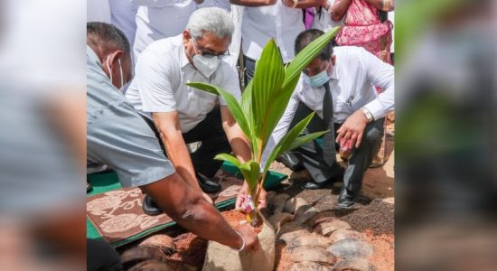 “දොරින් දොරට කප්රුක” ජාතික වැඩසටහන ඇරඹේ