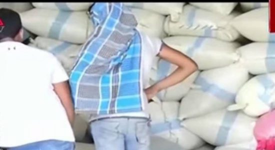 සහල් තොග සැඟවීමේ ජාවාරමක්... 