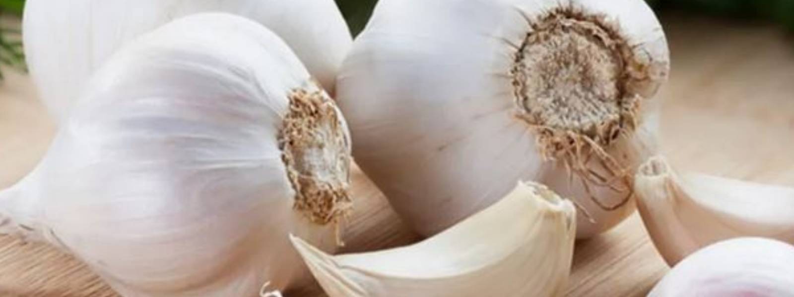 සුදුළූණු කන්ටේනර් 2ක් එළියට ගියේ කොහොමද? 