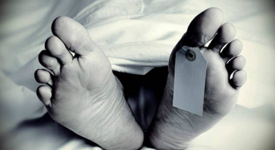 යතුරු පැදි 2 ක් එකිනෙක ගැටී දෙදෙනෙකු මරුට.. 
