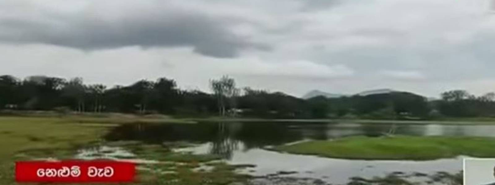 මොනරාගල නෙලුම් වැවටත් අත තියයිද? 