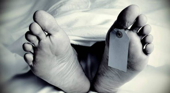 විදුලි රැහැනක ගැටීමෙන් දෙදෙනෙකු මරුට.. 