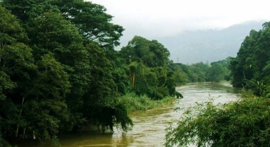 කැලණි ගඟට අපද්‍රව්‍ය බැහැර කරන ස්ථාන 1,500 ක්