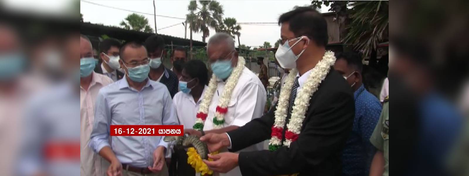 මුහුදු කූඩැල්ලන් බලන්න අරියාලෙයි ගිය චීන තානාපති 