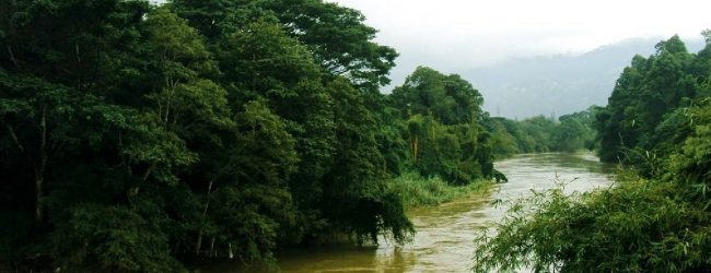 කැලණි ගඟට අපද්‍රව්‍ය බැහැර කරන ස්ථාන 1,500 ක්