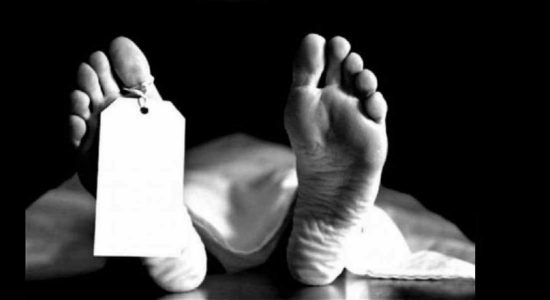 ඉස්සන් ගොවිපලක ඇළකට වැටී පුද්ගලයෙකු මරුට