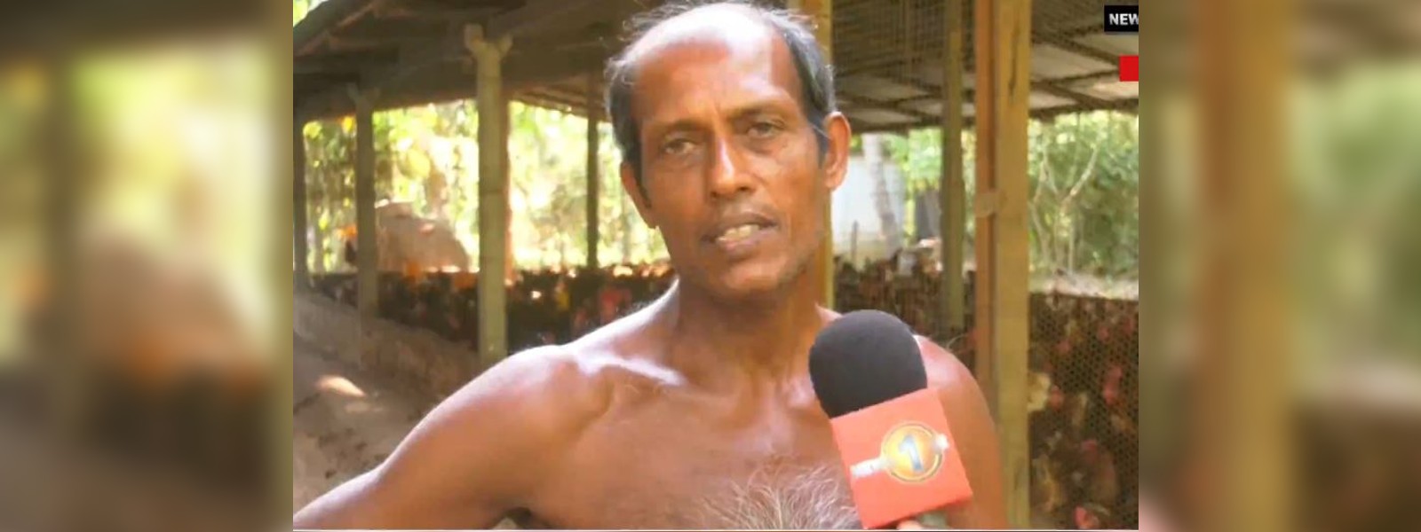 අසරණ වූ බිත්තර වෙළෙන්දන් 