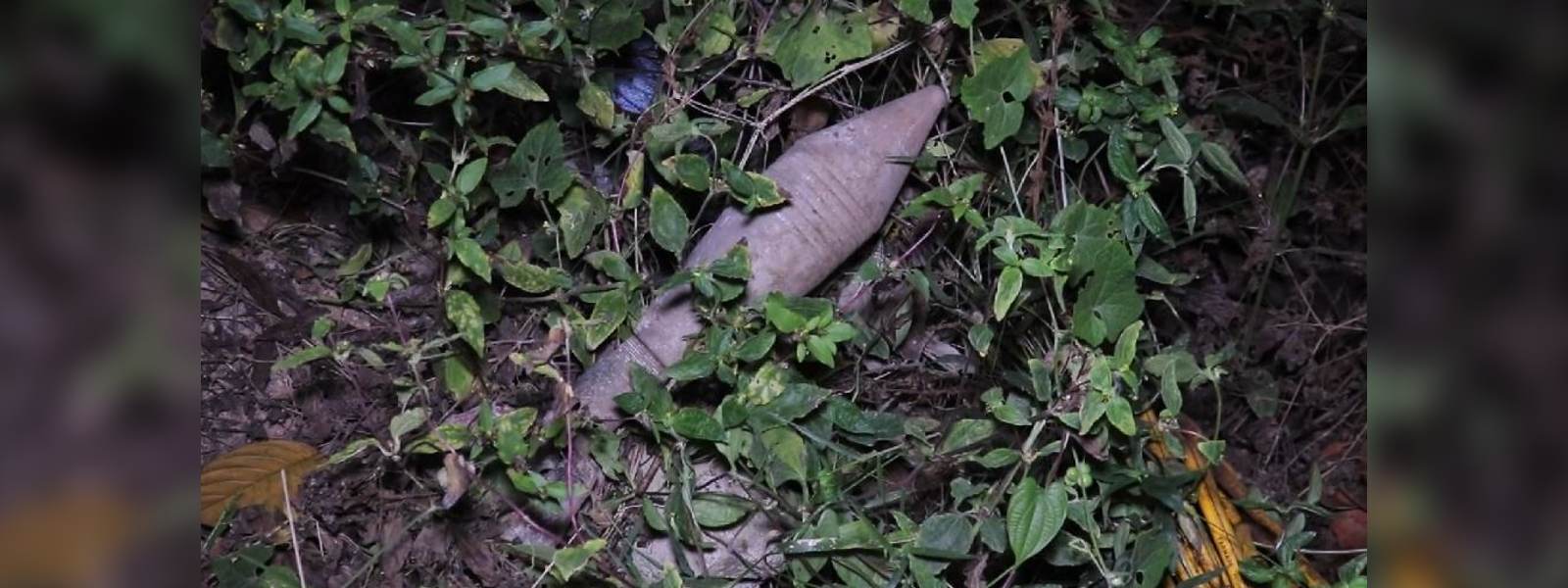අලුතින් හදන නිවසකින් හමුවූ මෝටාර් බෝම්බය 