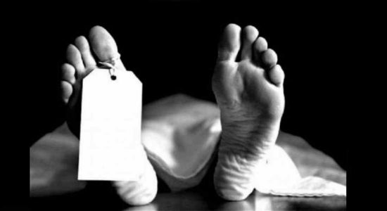  ඇල්ලේවල දිය ඇල්ලට එක් අයෙකු බිලිවෙයි