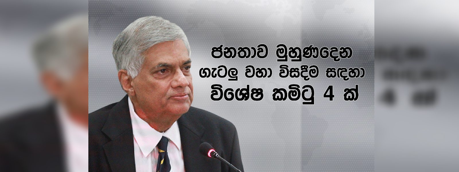 ජනතා ගැටලු විසඳීමට විශේෂ කමිටු 4 ක්