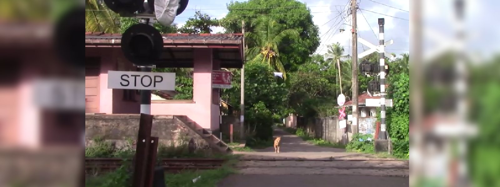 කොස්ගොඩදී දැරියක් දුම්රියට බිලිවෙයි