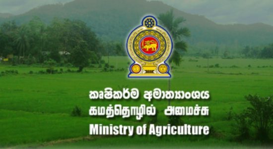 කෘෂිකර්ම අමාත්‍යාංශ ආයතනවල සේවකයින්ට නිවාඩු නෑ