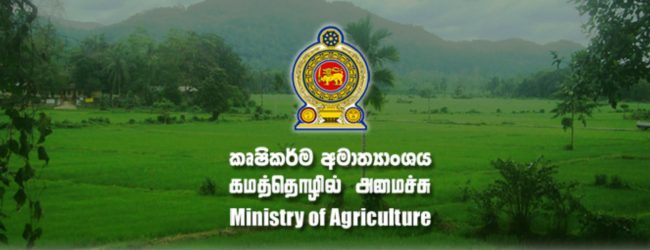 කෘෂිකර්ම අමාත්‍යාංශ ආයතනවල සේවකයින්ට නිවාඩු නෑ