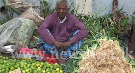එළවළු මිල ගණන් ශීඝ්‍රයෙන් ඉහළට 