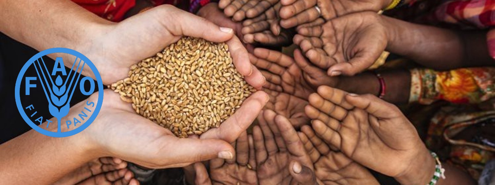 උග්‍ර අහාර හිඟය හා සම්බන්ධ අනතුරු ඇඟවීමක් 