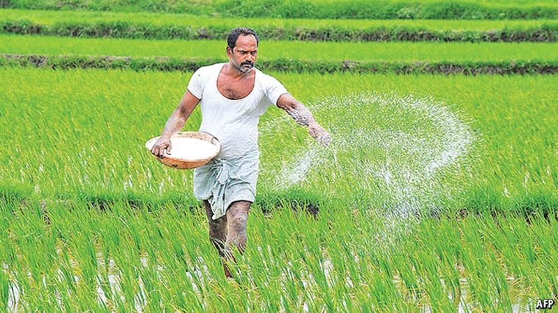 ඉන්දියාවෙන් ලැබෙන දෙවන පොහොර තොගය ළඟදීම..
