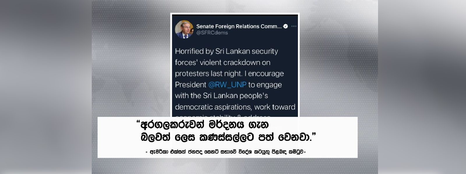 අරගලකරුවන් මර්දනය ගැන කනස්සල්ලට පත් වෙනවා