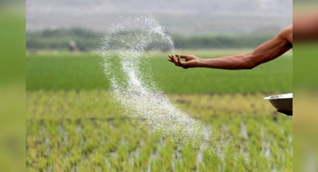 තවත් යූරියා තොගයක් ළඟදීම දිවයිනට..