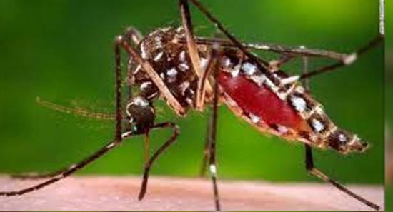දිස්ත්‍රික්ක 6ක මදුරු මර්දන වැඩසටහන්..