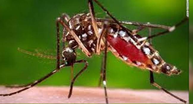දිස්ත්‍රික්ක 6ක මදුරු මර්දන වැඩසටහන්..