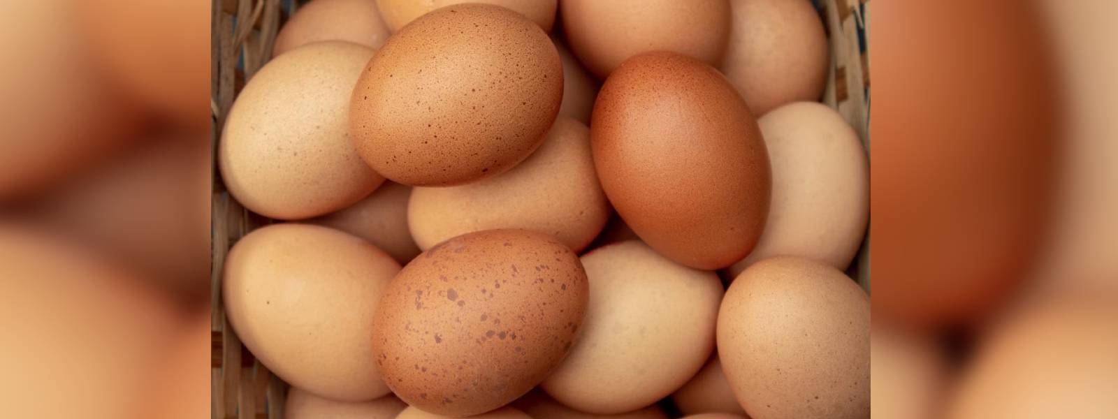 අනිසි බිත්තර තොග රාජසන්තක කරනවා..