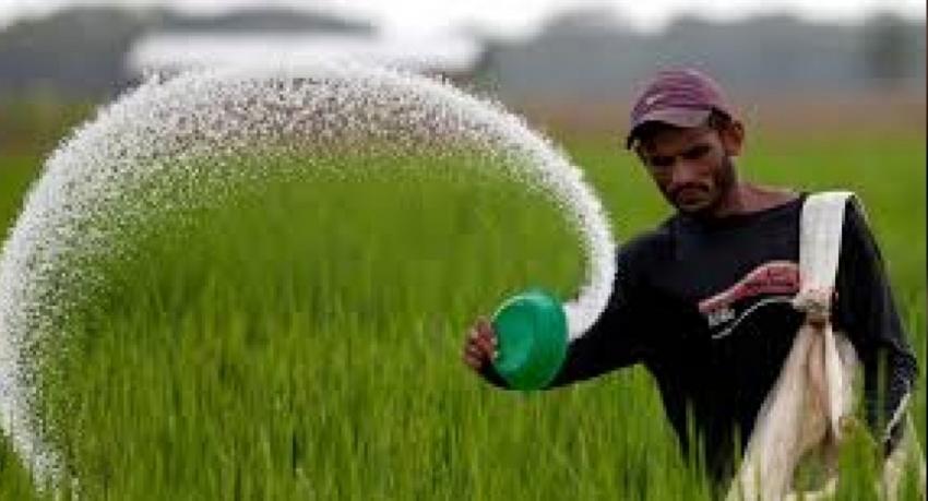 වී ගොවීන්ට කිලෝ 50ක යූරියා මිටියක් නොමිලේ