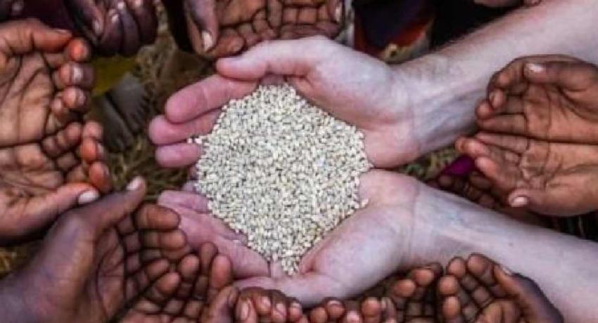 දස දෙනෙකුගෙන් තිදෙනෙක් ආහාර අනාරක්ෂිතභාවයෙන් - UN