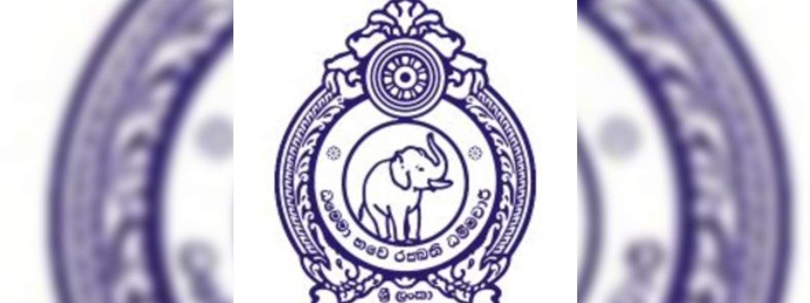 කෑමට නුසුදුසු මාළු තොගයක් තෝප්පුවෙන් අල්ලයි