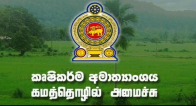 ගවයින් ගැන කෘෂිකර්මයෙන් ගත් තීන්දුව